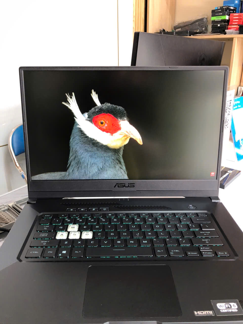 z7995264686205-6dd14d9e9344602a46f946960471ed19