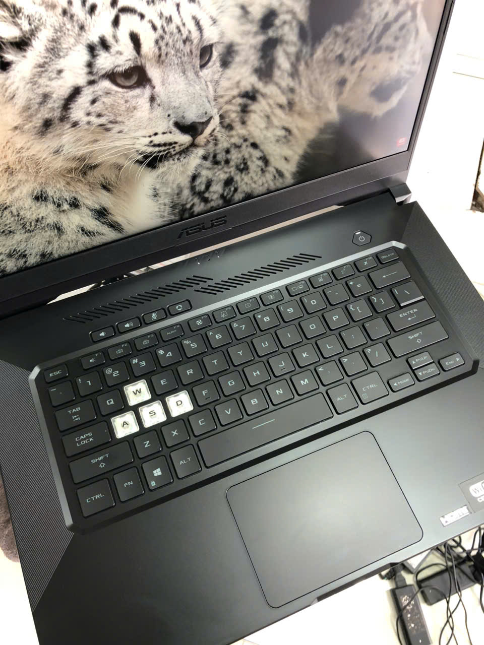 z7995264708339-490aa674921946b4ef38a9346124620f